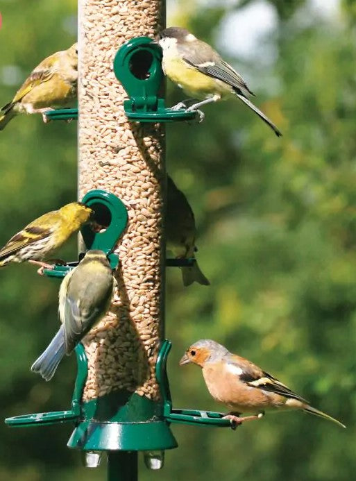 Johnston & Jeff Green Cast Metal 6 Port Seed Feeder