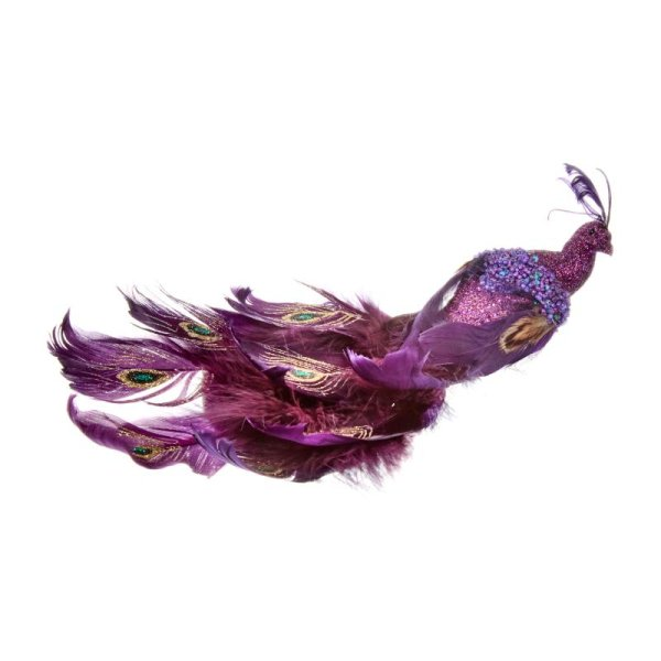 Smart Garden Peacock - Amethyst