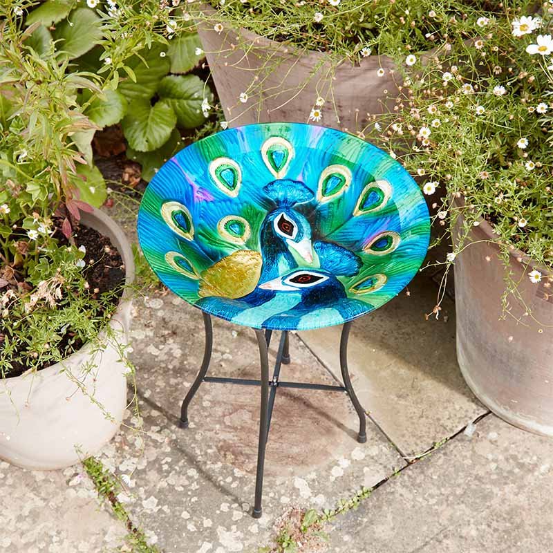 Chapelwood Peacock Birdbath