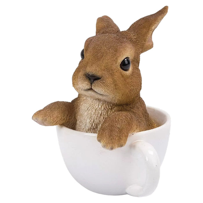 VIVID  Teacup Baby Rabbit