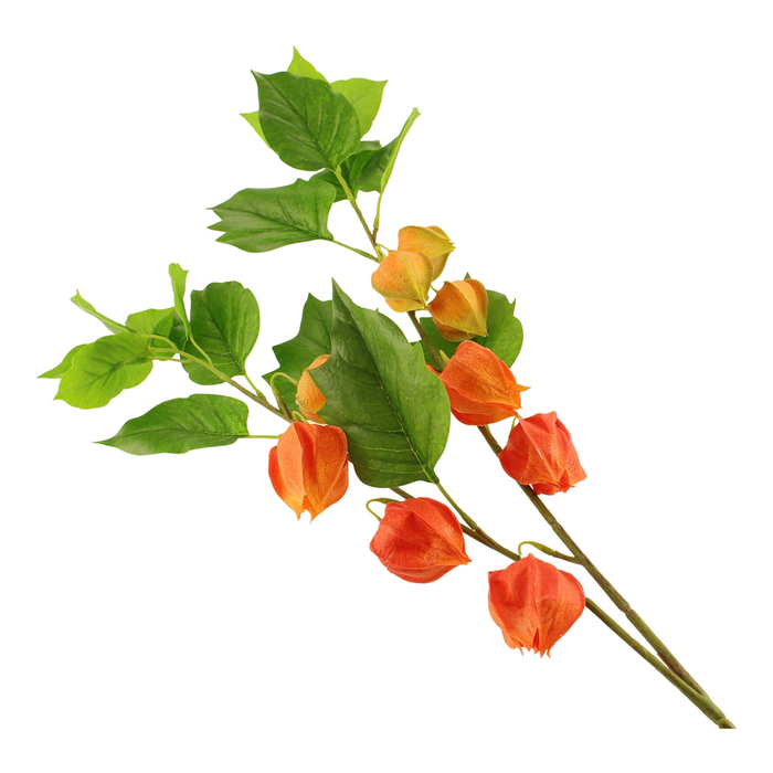 Sage Décor  Chinese Lantern Spray 90Cm