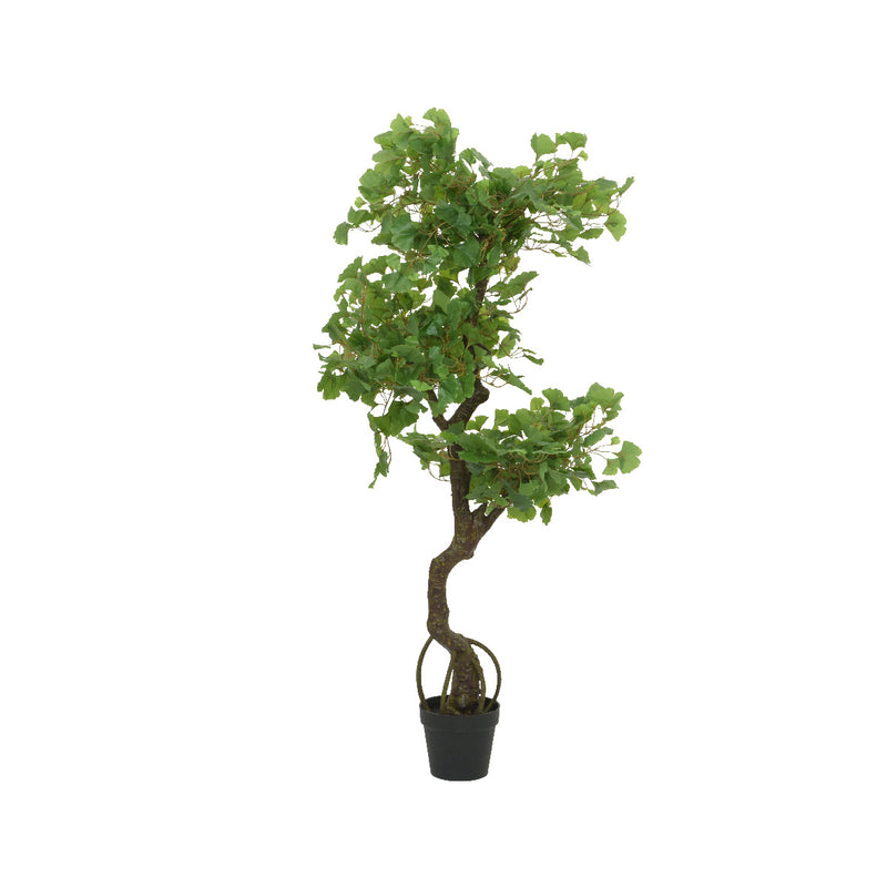 Kaemingk Gingko In Pot PE