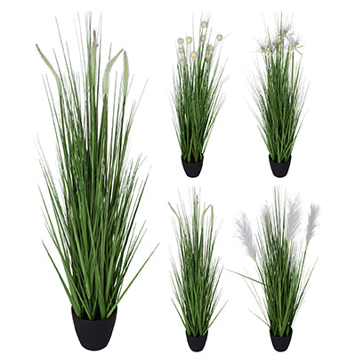 Koopman Grass Assorted Plant In Pot 4 Assorted Design