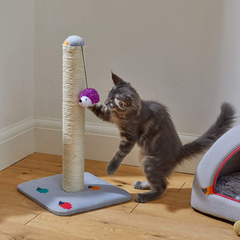 Hoglets Dreaming Cat Scratcher - 0.5M