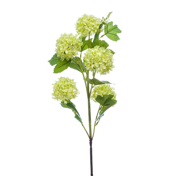Emerald Viburnum Spray X5 75cm Lt Green