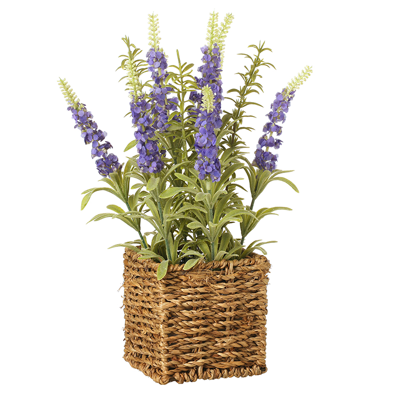 Heaven Sends Purple Flowers