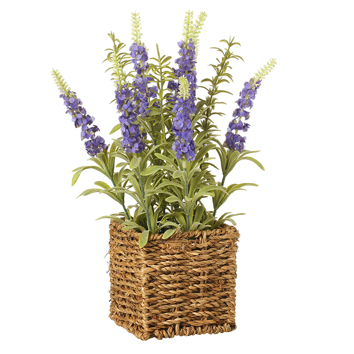 Heaven Sends Purple Flowers