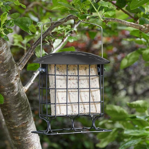 Chapelwood Supreme Suet Cake Feeder