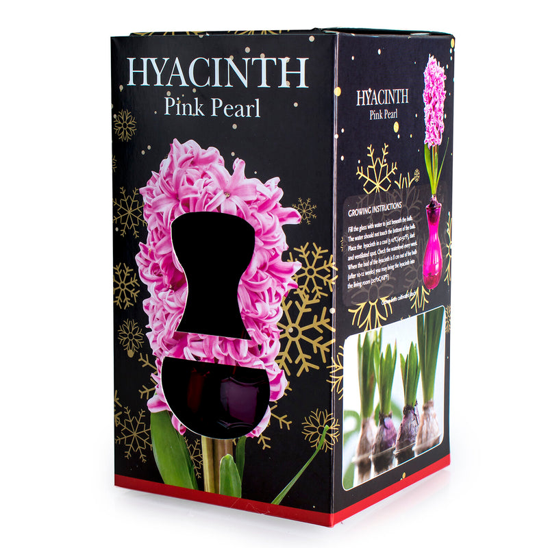 DE REE Hyacinth Glass Gift Kit - Pink Pearl