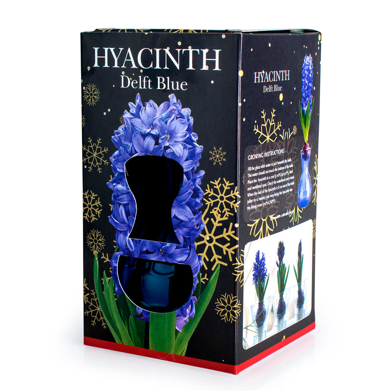 DE REE Hyacinth Glass Gift Kit - Delft Blue