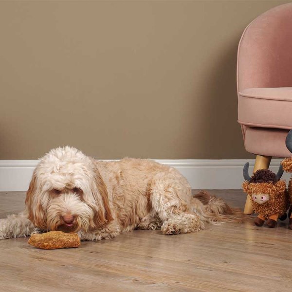 Zoon 2 Medium Yak Chews with Turmeric - 140g