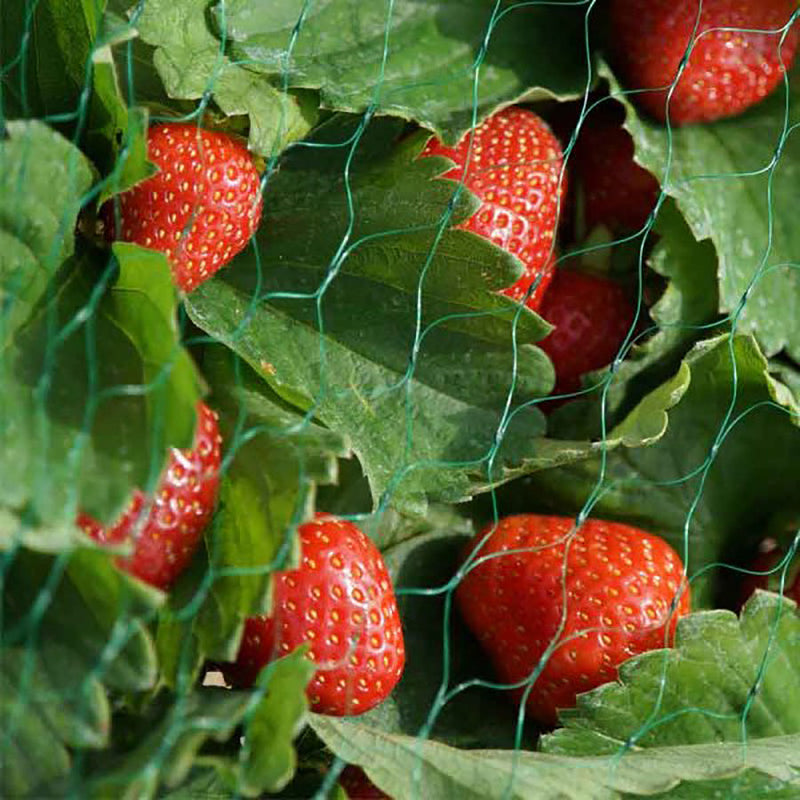 SmartGarden Garden Netting - Green 15mm Mesh 4 x 10m