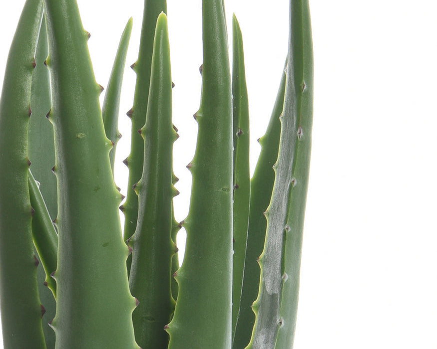 Kaemingk 35cm Artificial Aloe Vera In Pot