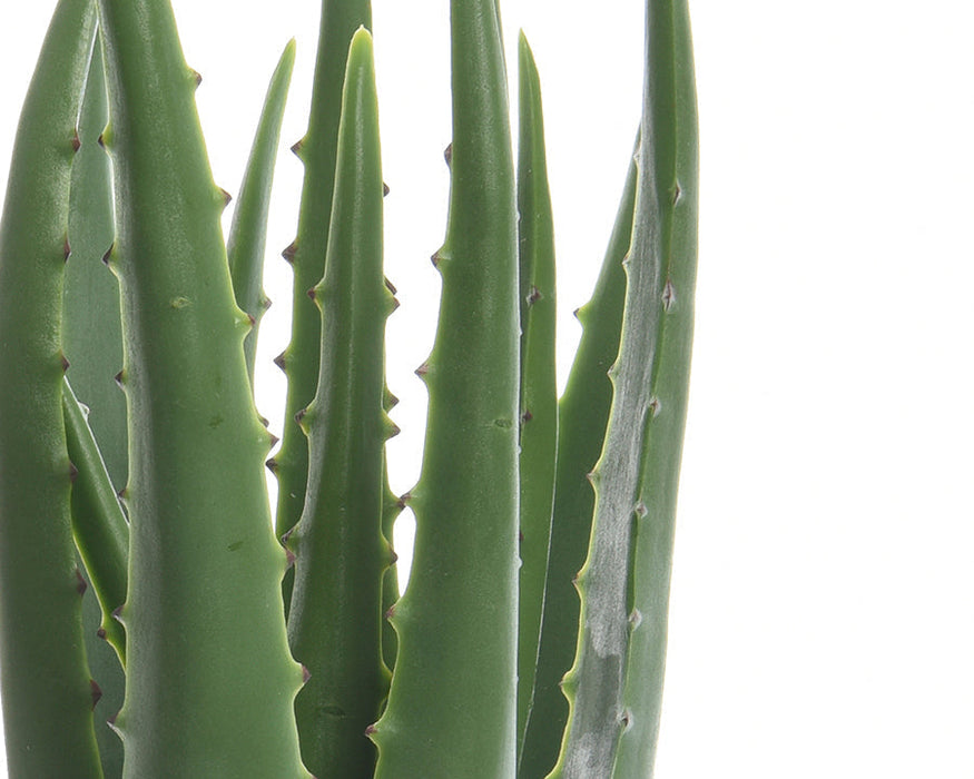Kaemingk 35cm Artificial Aloe Vera In Pot