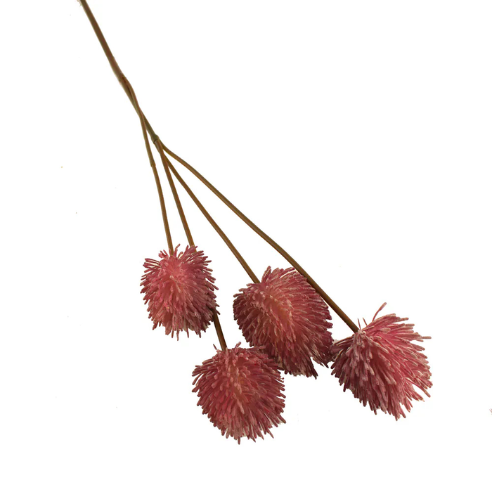 Sage Décor  Teasel Spray 72Cm