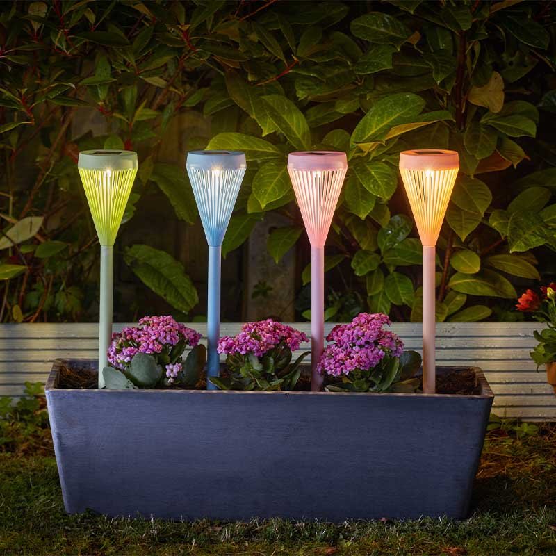 Smart Solar Viva! Assorted 4 PC Carry Pack Display