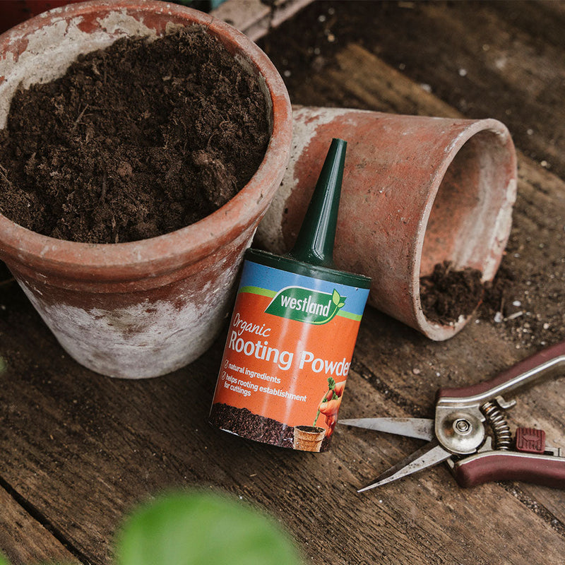 Westland Organic Rooting Powder 100g