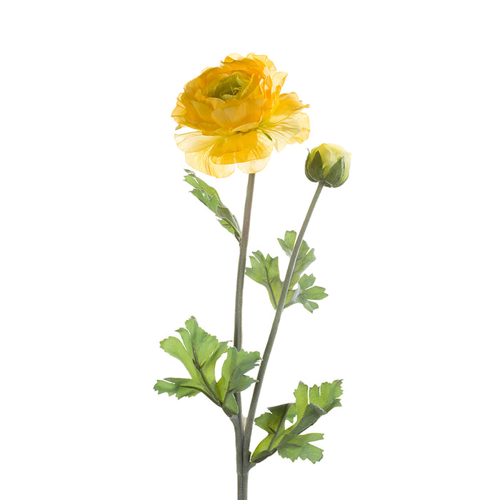 EEG Ranunculus spray 45cm lt Yellow