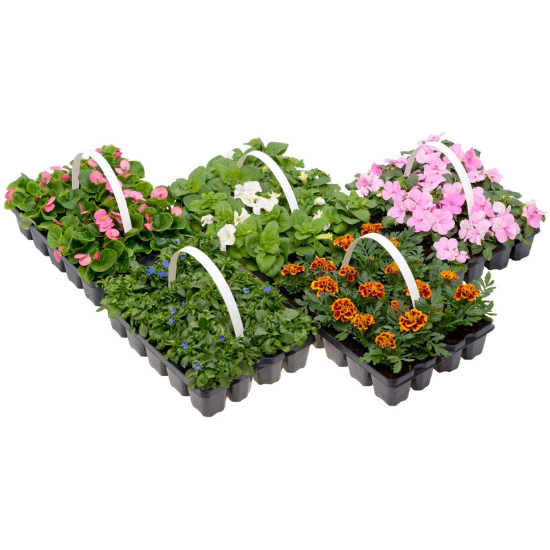 BEDDING 20 pack (x3)