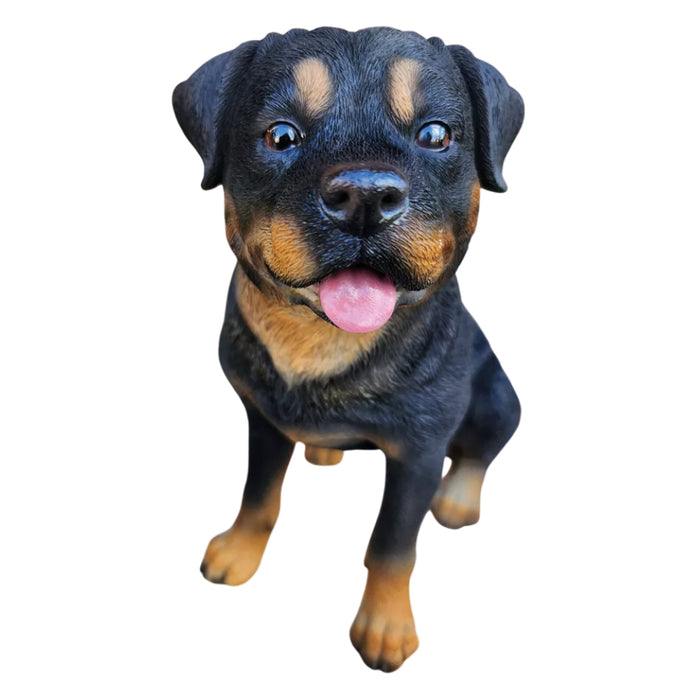 Vivid Arts Real Life Rottweiler D