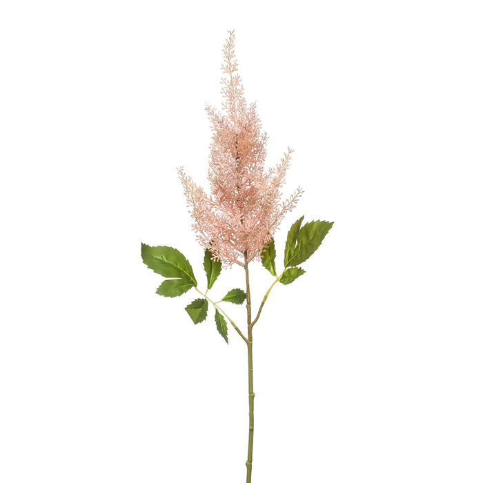 Emerald Astilbe Spray Peach 65cm