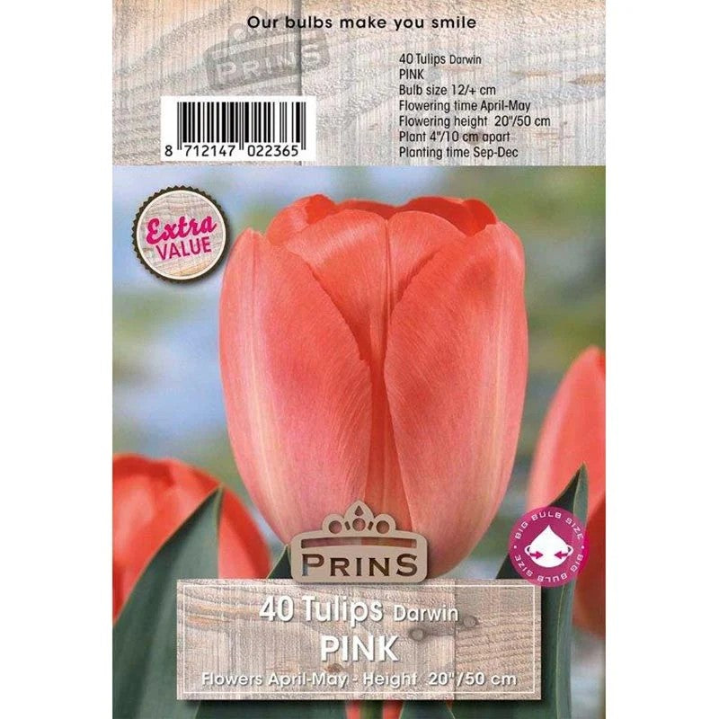 Prins Tulips Pink 40 P.P.