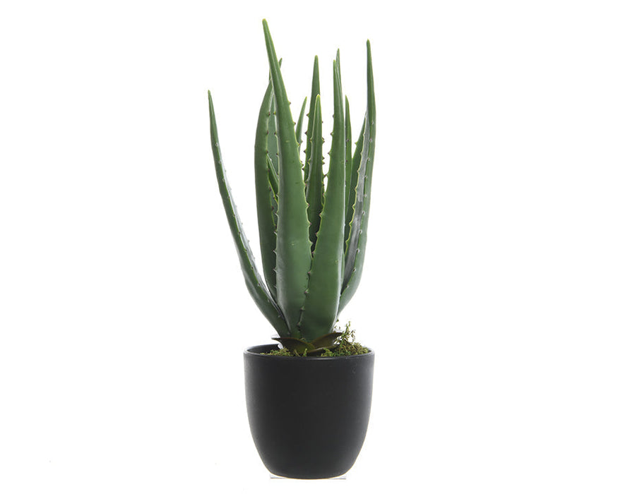 Kaemingk 35cm Artificial Aloe Vera In Pot