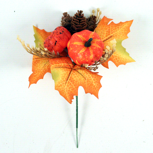 JENO Autumn Pick