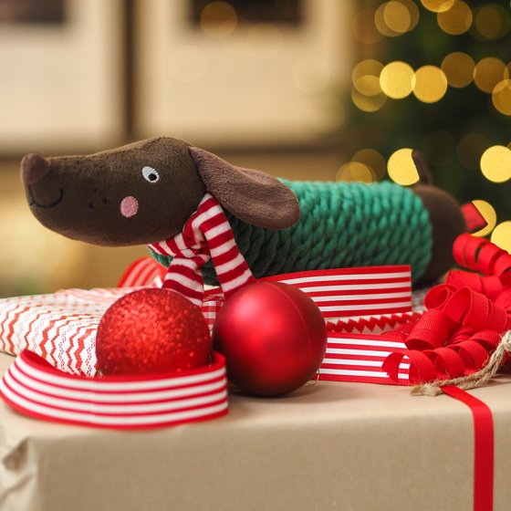 Smart Garden Festive Frankie Sausage Tuffrope Playpal