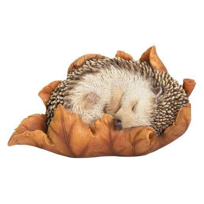 Vivid Arts Baby Hedgehog In Leaf F