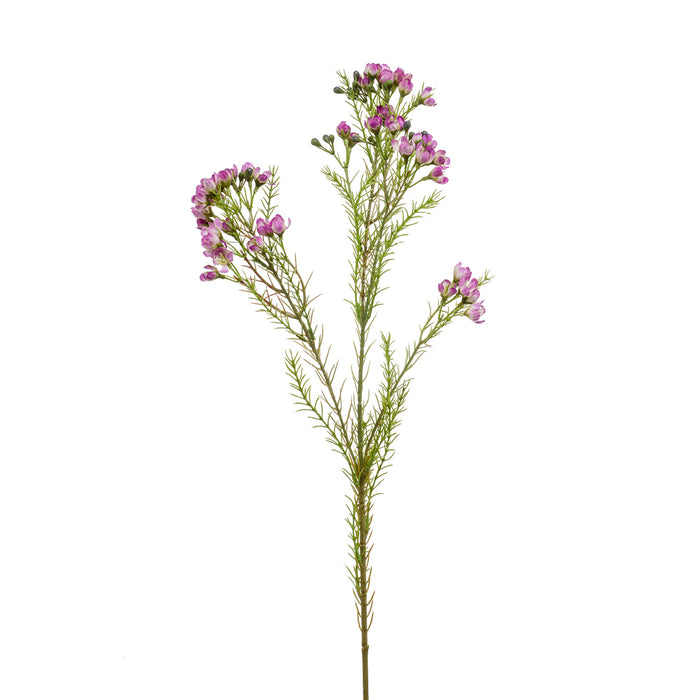 Emerald Wax Flower Spray x3 78cm