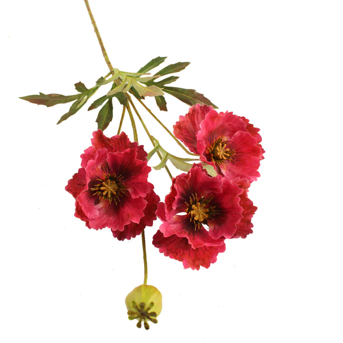 Sage Décor  Shirley Poppy 70Cm