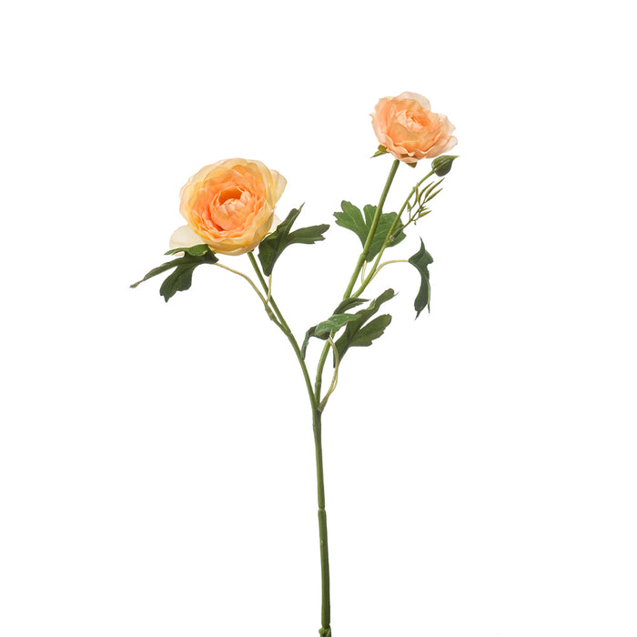 Emerald Ranunculus Spray X2 Lt Peach 46cm