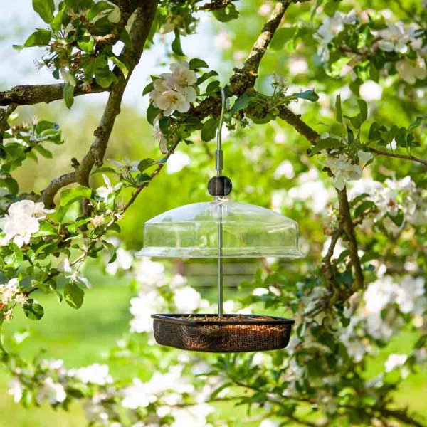 Chapelwood Mealwom & Suet Feeder