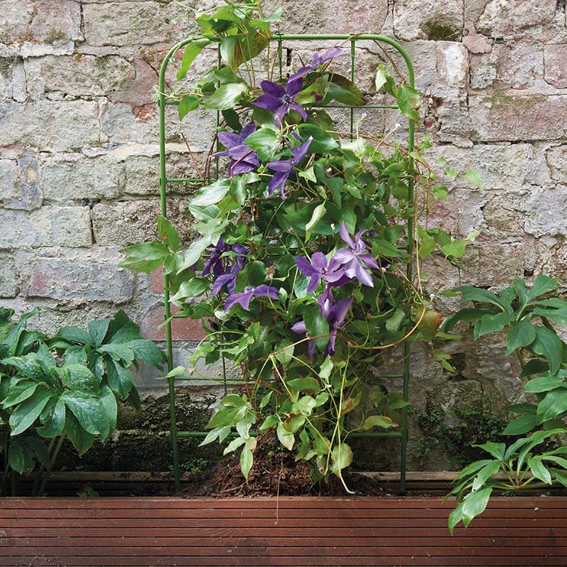 Smart Garden Planter Trellis - 90cm