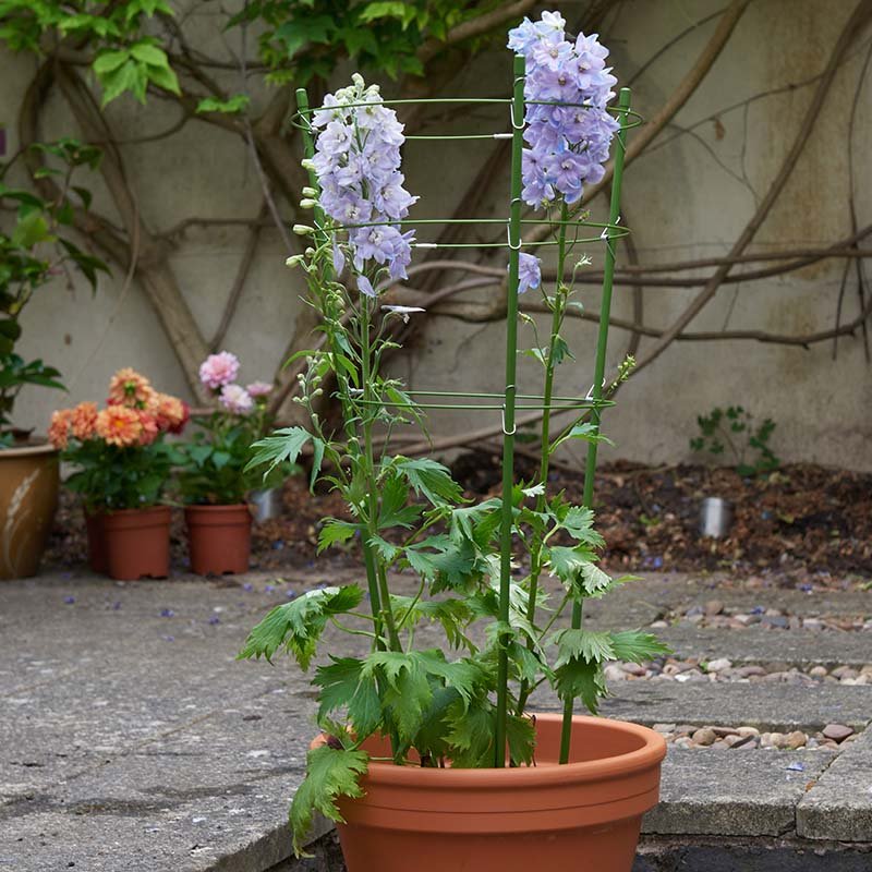 Smart Garden 3-Ring Gro-Cone - 75cm