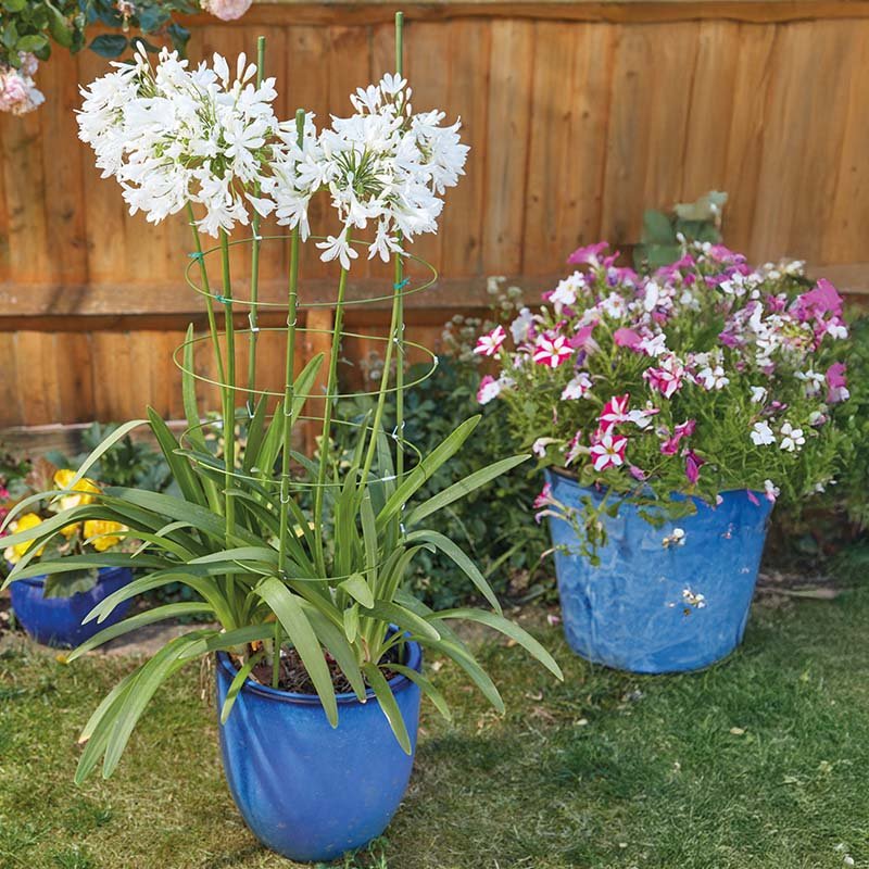 Smart Garden 4-Ring Gro-Cone - 90cm