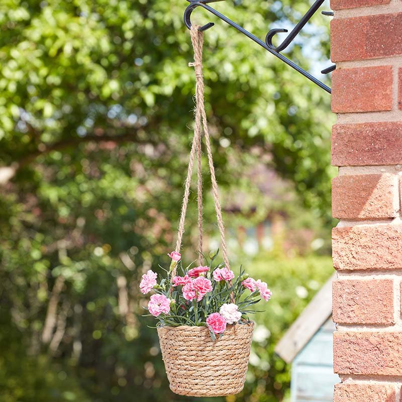 Smart Garden 6in The Weaver Basket