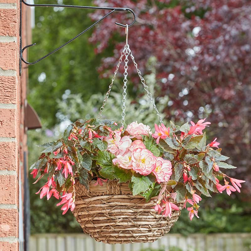 Smart Garden 14in EcoGrass Hanging Basket