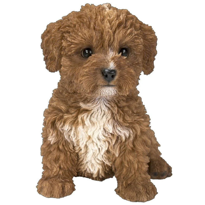 Vivid Arts PP Cavapoo Chocolate F