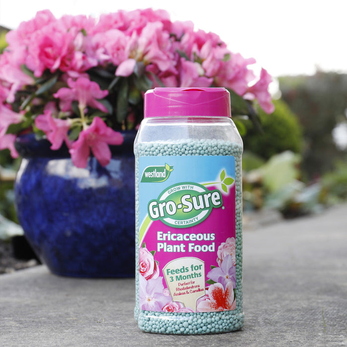 Gro-Sure Ericaceous Plant Food Granules 900g