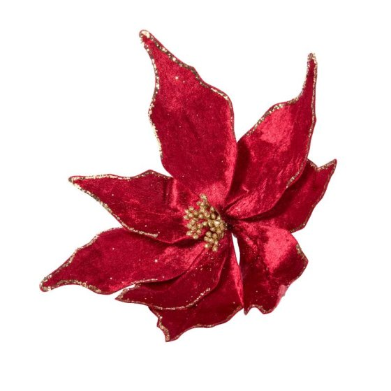 Smart Garden Brilliant Burgundies Stem - Style 3