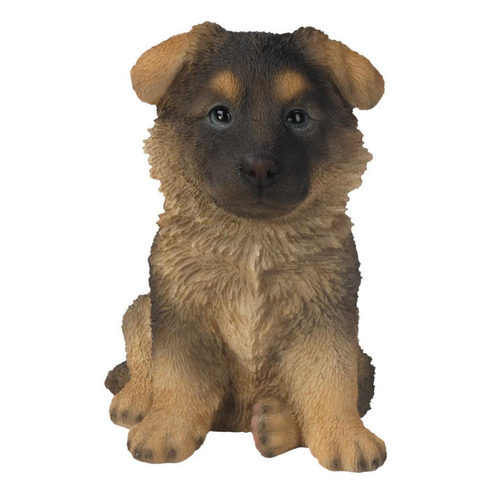 Vivid Arts Pp Alsatian Puppy F
