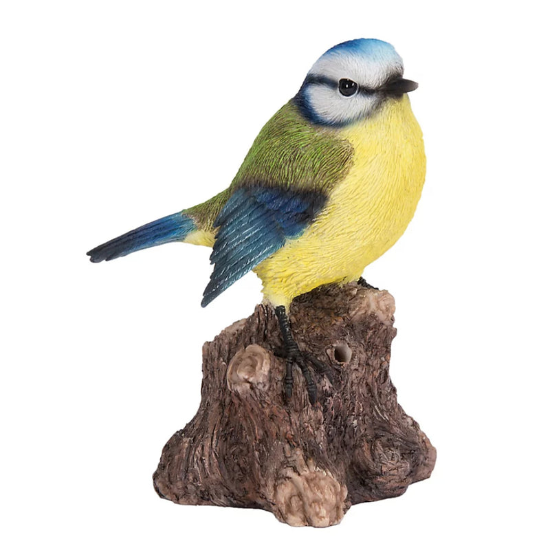 Vivid Arts WBC Blue Tit F