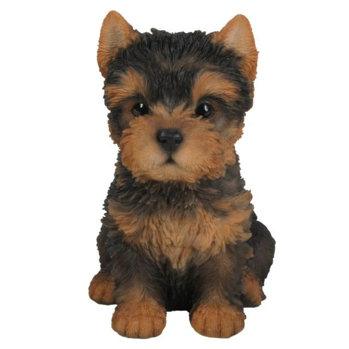 Vivid Arts Yorkshire Terrier Pup F