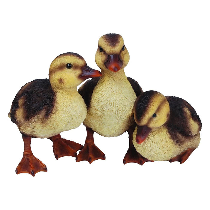 Vivid Arts RL Duckling Group D