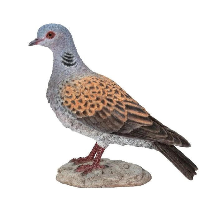 Vivid Arts WBC Turtle Dove D
