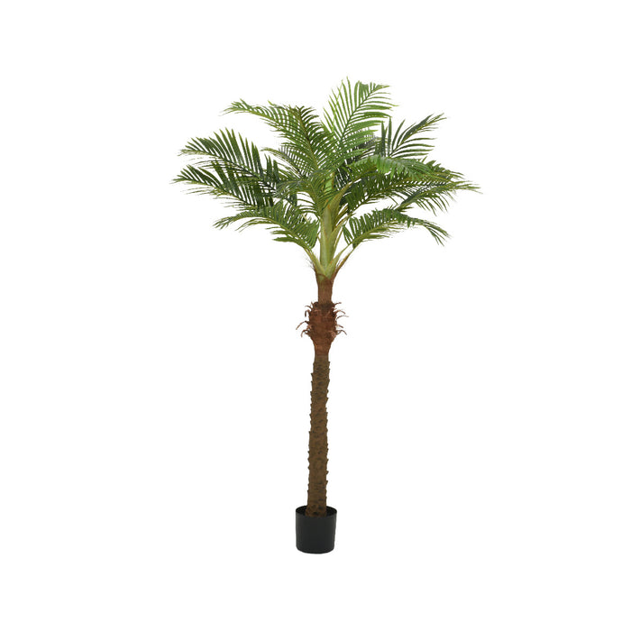 Kaemingk Palmtree In Pot Polyester