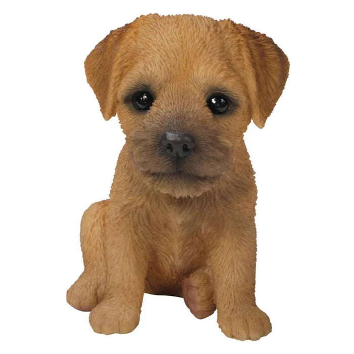 Vivid Arts Pp Border Terrier Pup F