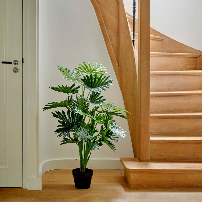 Kaemingk Philodendron Philodendron In Pot Plastic